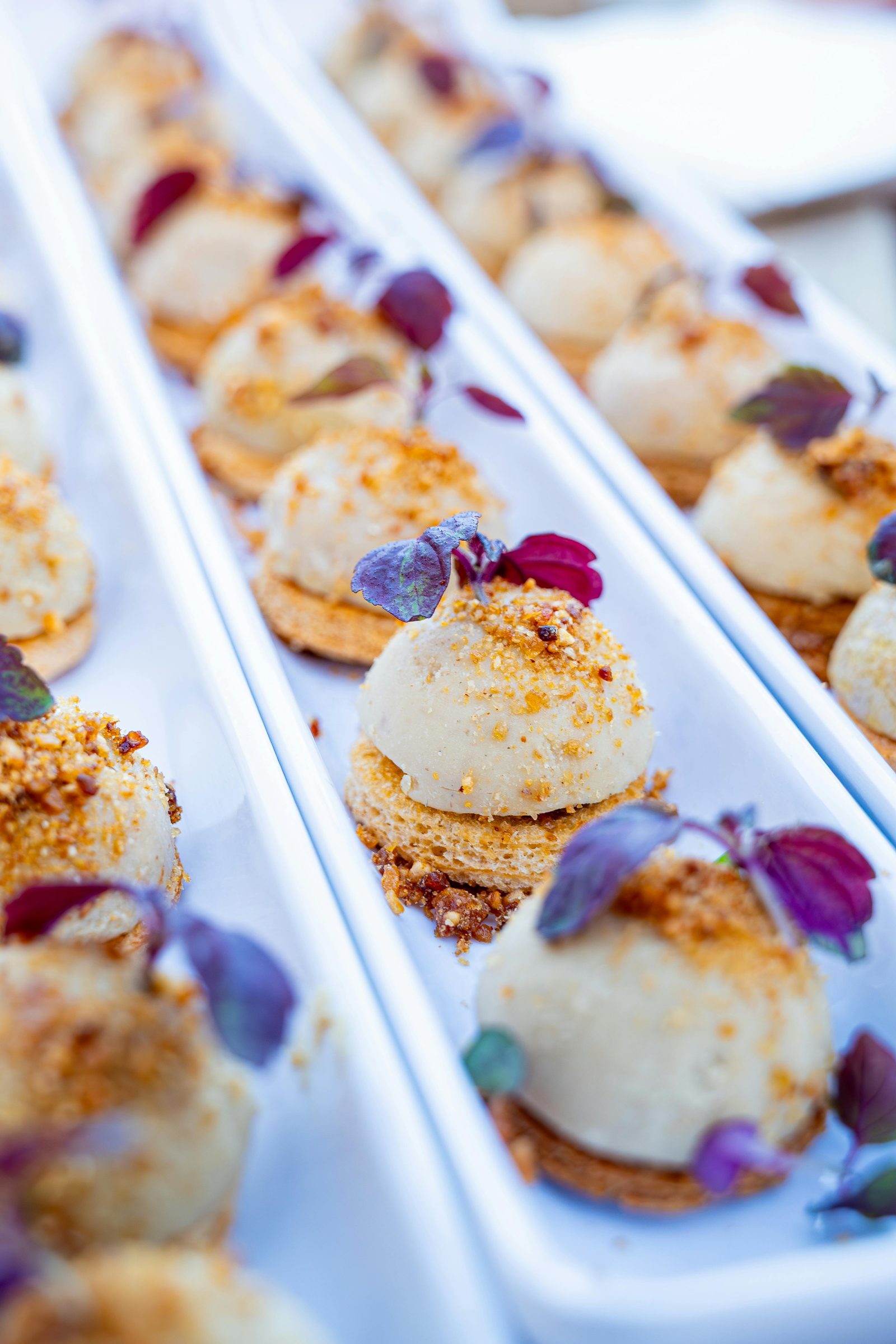 Bouchées gastronomiques de vin d'honneur — amuse-bouches élégants présentés sur ardoise blanche